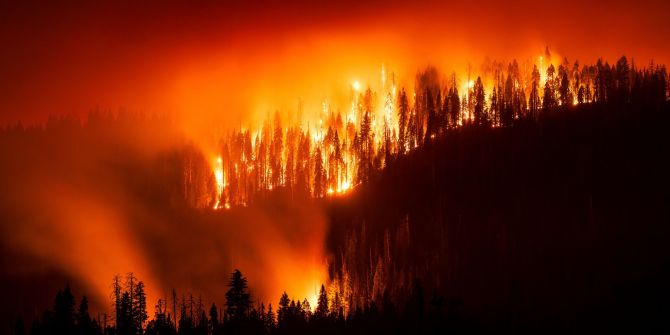 Waldbrand in Kalifornien