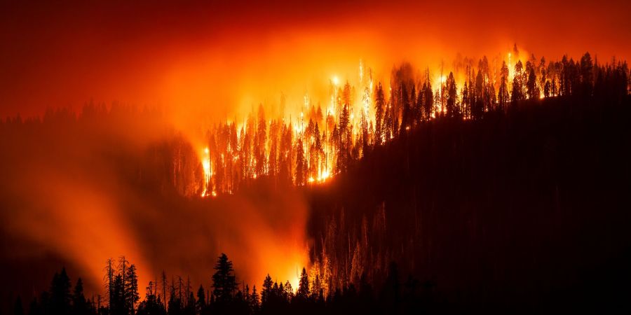 Waldbrand in Kalifornien
