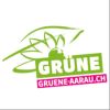 Sonnenblume grün Aarau pink
