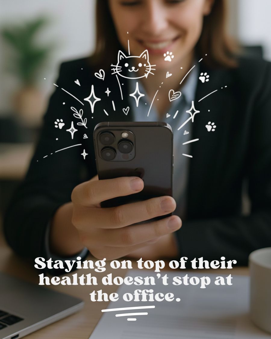 Die Sorge um die eigene Katze endet nie – selbst dann nicht, wenn man gerade nicht zu Hause ist.