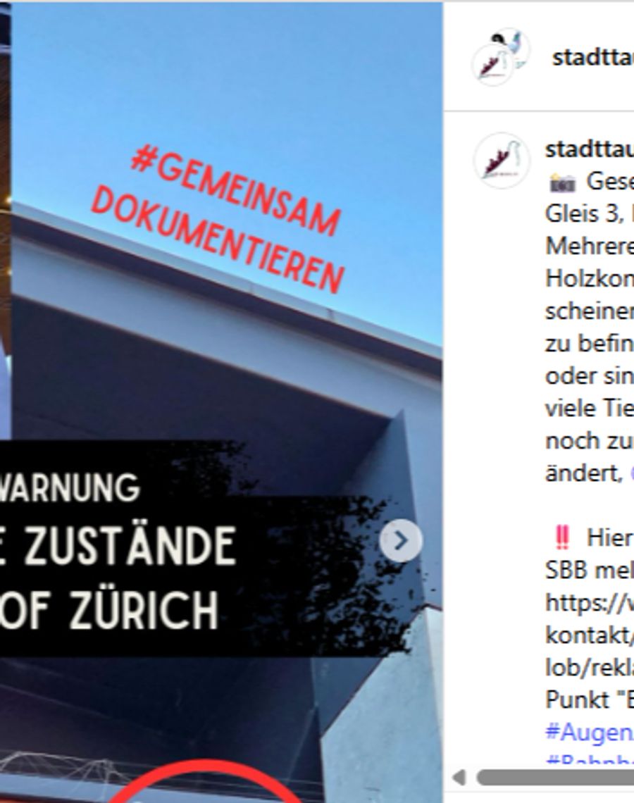 «Wie viele Tiere müssen dieser Konstruktion noch zum Opfer fallen, bevor sich etwas ändert?», schreibt der Verein in einem Post an die SBB.