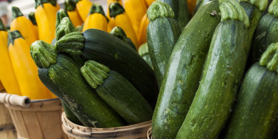 Zucchini