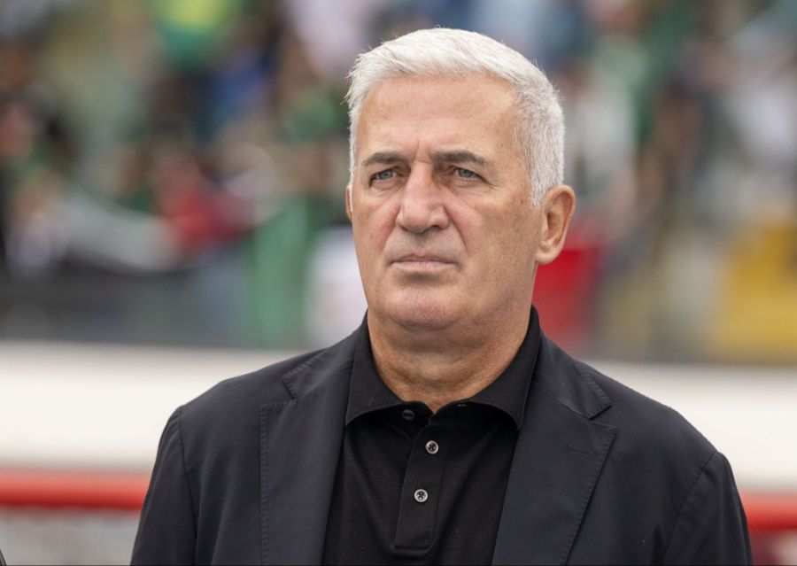 Vladimir Petkovic Algerien