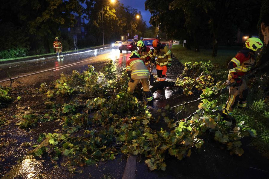 Die Feuerwehr musste diverse Einsätzen leisten.