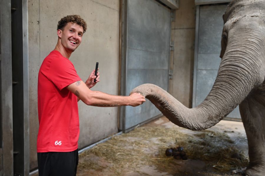 Yannick Marchand füttert Elefant