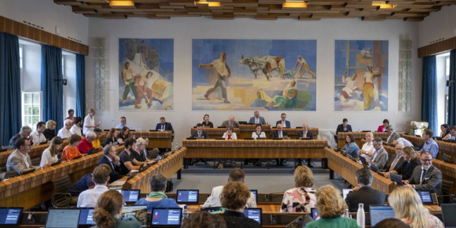 Baselbieter Landratsmitglieder sollen bei längerer Krankheit oder Mutterschaft digital an den Parlamentssitzungen teilnehmen und abstimmen können. (Archivbild)