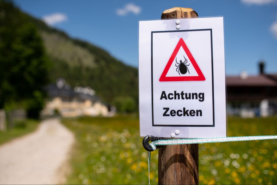 Letztes Jahr wurden knapp 18'000 Fälle registriert.