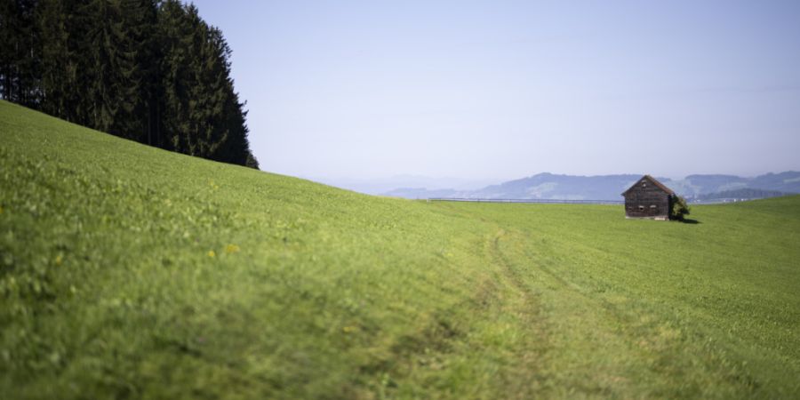 Die Eggersrieter Höhe im Kanton St. Gallen ist eines der Gebiete, in welchem mit PFAS-belastete Flächen festgestellt wurden. Die St. Galler Regierung setzt sich nun beim Bund dafür e...