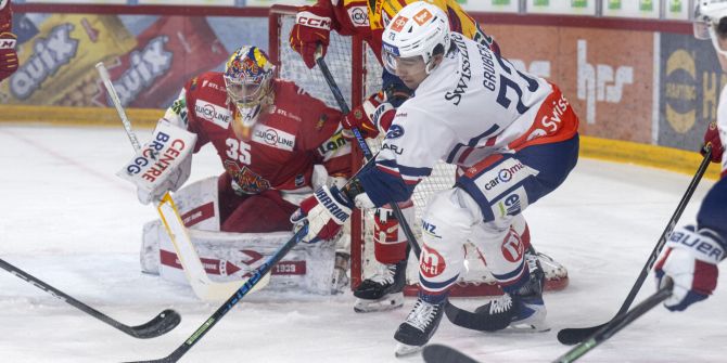 zsc lions