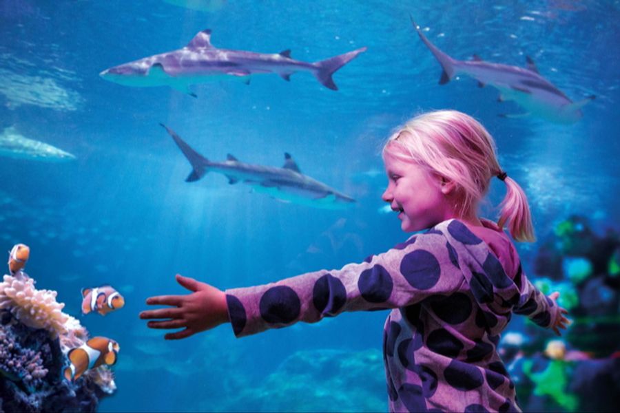 Sea Life Oberhausen