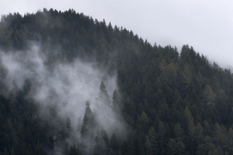 Bei Wanderung im Regen: Zwei Jugendliche und ein Hund mussten am Samstag in Vaferdeau JU gerettet werden. (Symbolbild)