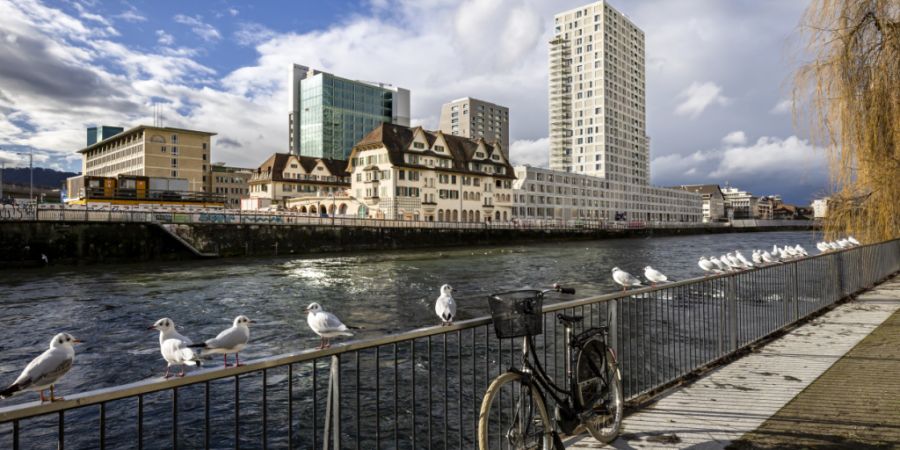 Die Stadtzürcher SVP fordert mit einer Initiative 20 Prozent Alterswohnungen in städtischen Liegenschaften (im Bild die Siedlung Tramdepot Hard). Dem Gemeinderat ist diese Vorlage zu ...