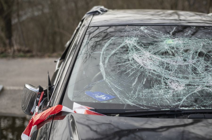 Die Kriminalität habe seit dem Beitritt zum Schengen-Abkommen zugenommen.