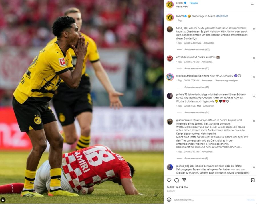 bvb