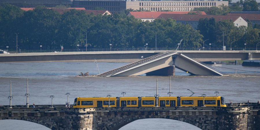 Elbe-Hochwasser in Dresden