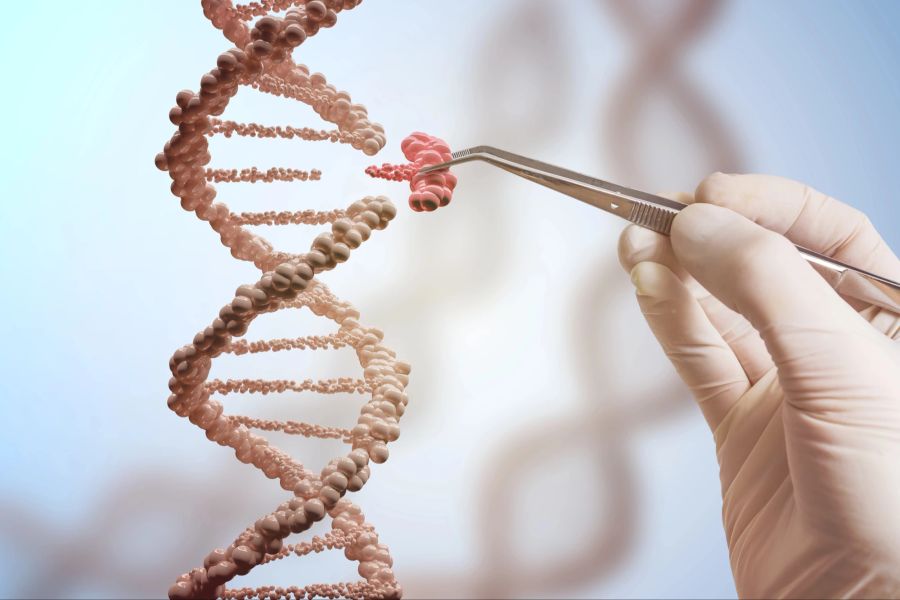 Die DNA in unseren Zellen ist extrem lang. (Symbolbild)