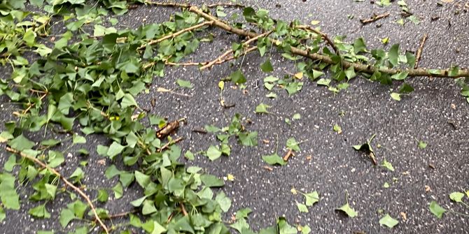 Strasse Äste Unwetter Sturm