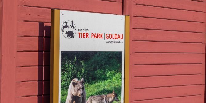 Goldau SZ