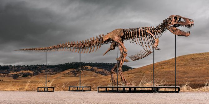 t rex