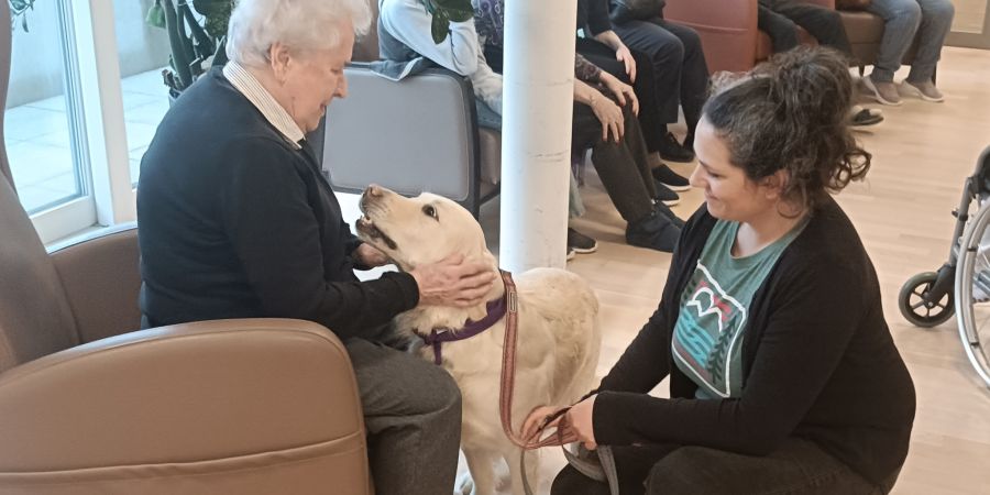 Senevita Betreutes Wohnen
