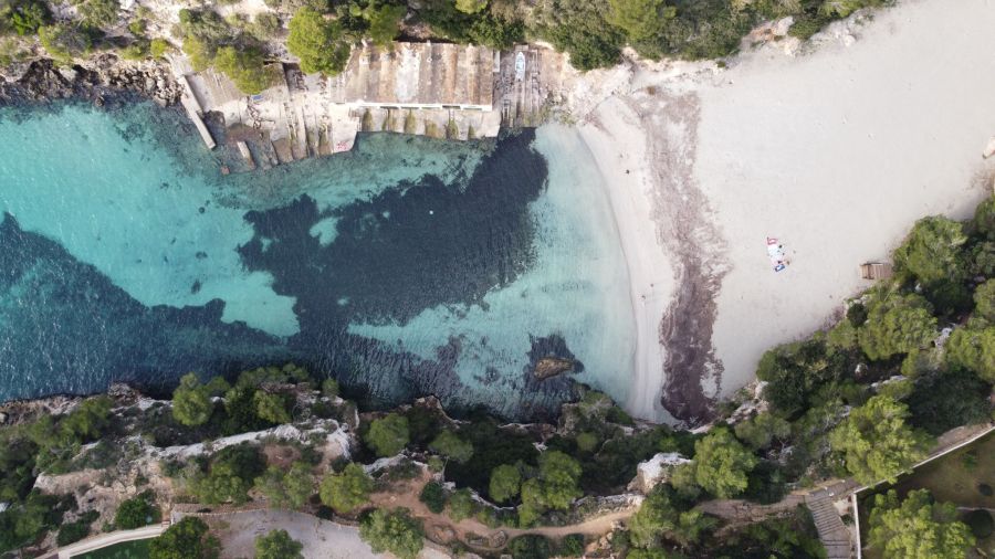 Auch aus den Stränden von Cala Pi wurden schon Bisse gemeldet.