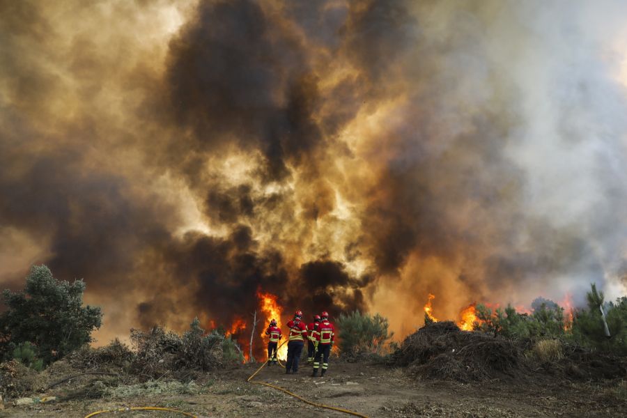 Feuerwehrleute konnten einen Waldbrand unter Kontrolle bringen, der in einem nördlichen Distrikt rund 13'000 Hektaren Wald- und Buschland zerstört hat.