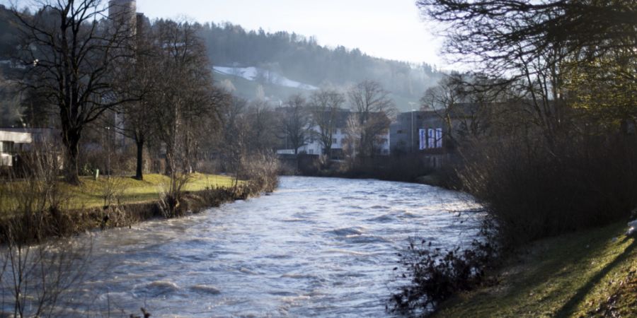 Das Flussbett der Thur soll bei Wattwil verbreitert werden. Ziel ist eine Verbesserung der Hochwassersicherheit. (Archivbild)
