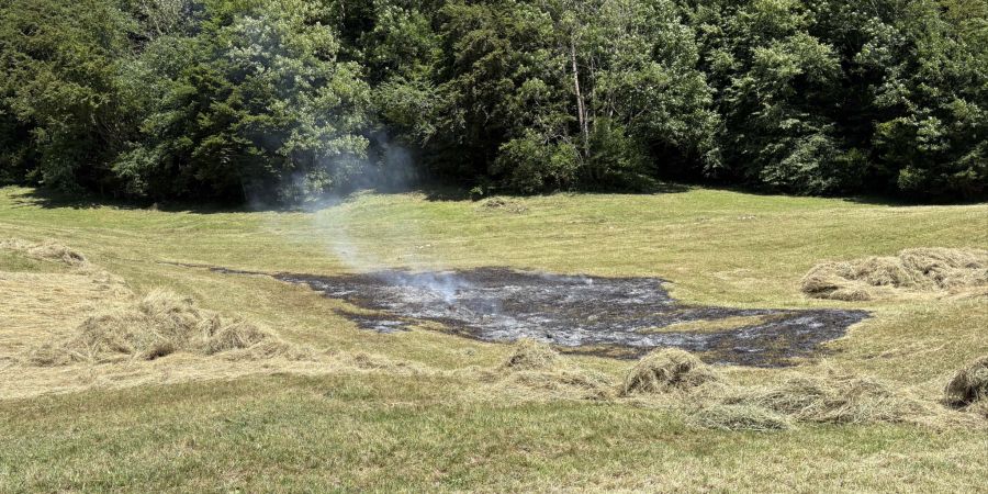 Flächenbrand Steinen