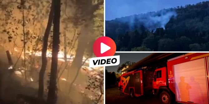 Waldbrand Möriken AG