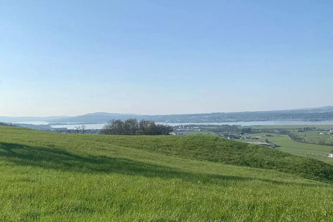 Wollerau