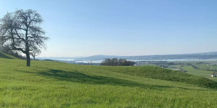 Wollerau