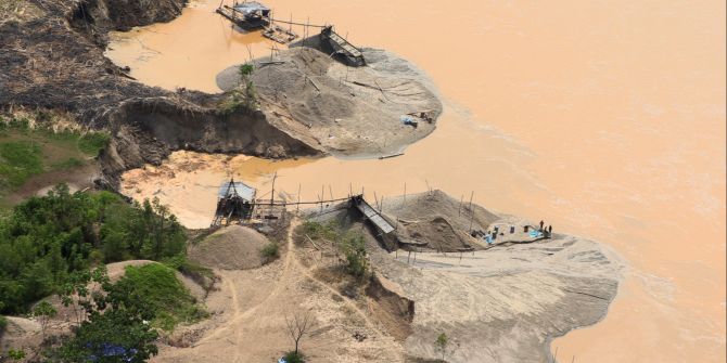 amazonas gold