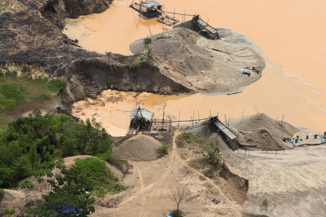 amazonas gold