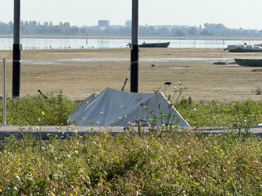 Eines der Boote in Ermatingen TG liegt in einer Fläche, die mit Grünzeug überwuchert ist. Kaum vorstellbar, dass hier einmal Wasser war.