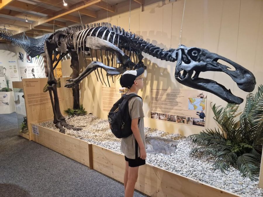 Sauriermuseu Bellach