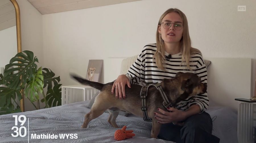 Mathilde Wyss studiert Veterinärmedizin und veröffentlicht ebenfalls Bilder ihrer Haustiere. Sie setzt vor allem auf spontane Szenen aus dem Alltag.