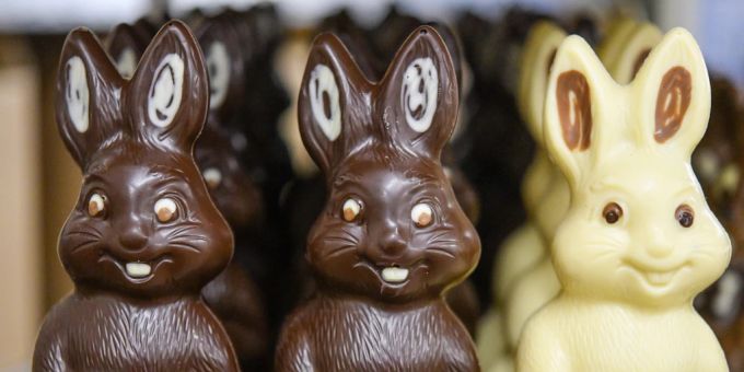 Je dunkler der Schoggi-Osterhase, desto besser fällt sein ökologischer Fussabdruck aus. Osterhasen Schokolade Schoggi-Osterhasen