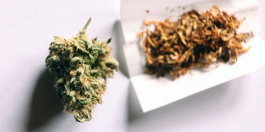 Das neue Gesetz erlaubt Volljährigen in Deutschland ab dem 1. April den Konsum von Cannabis.