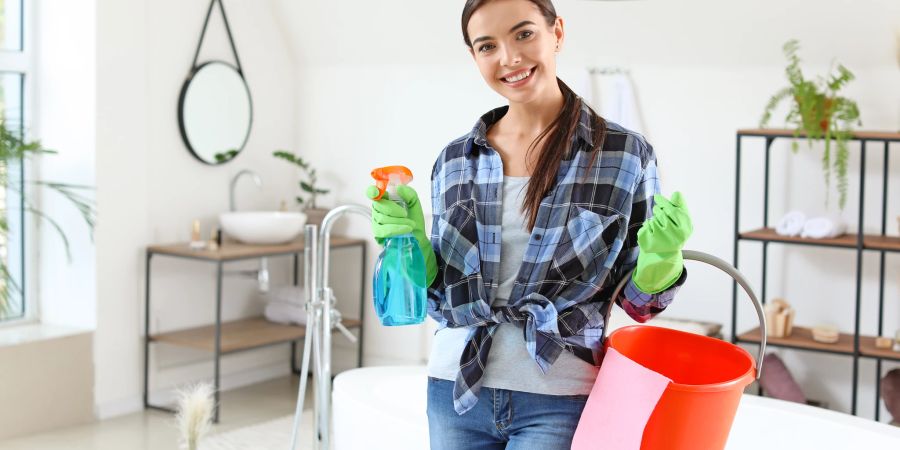 Lächelnde Frau mit Putzmitteln in der Hand