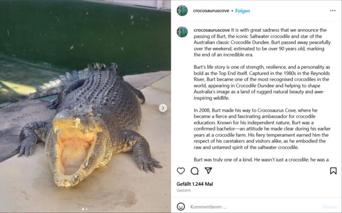 Der Reptilienzoo, in dem der Co-Star von Paul Hogan lebte, nimmt auf Instagram Abschied von Burt. paul hogan burt