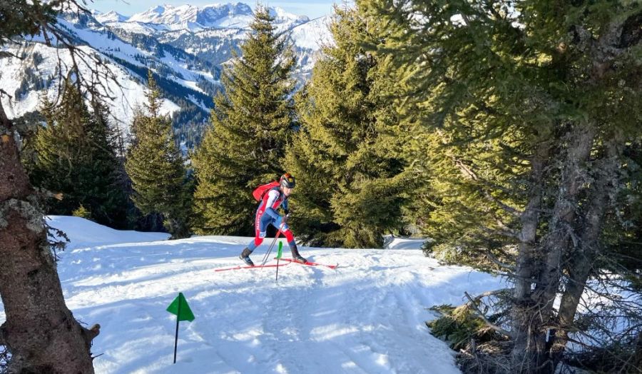 Wald Skibergsteiger Schnee Panorama