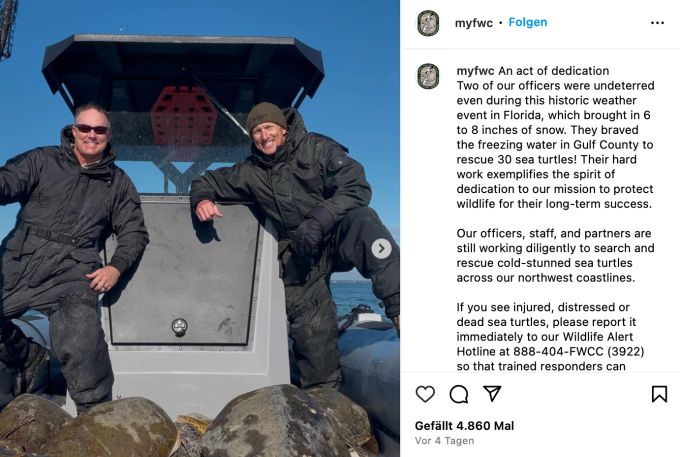 Wildhüter konnten 30 Meeresschildkröten in Sicherheit bringen. Wildhüter Meeresschildkröten