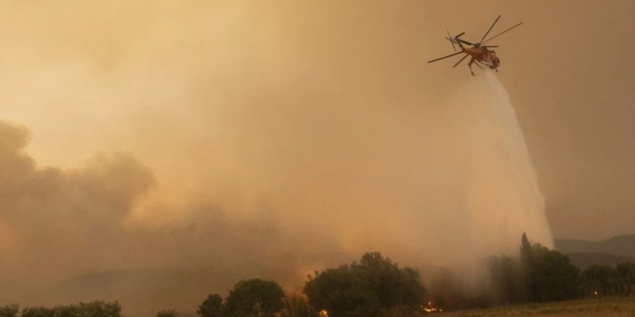 Brand