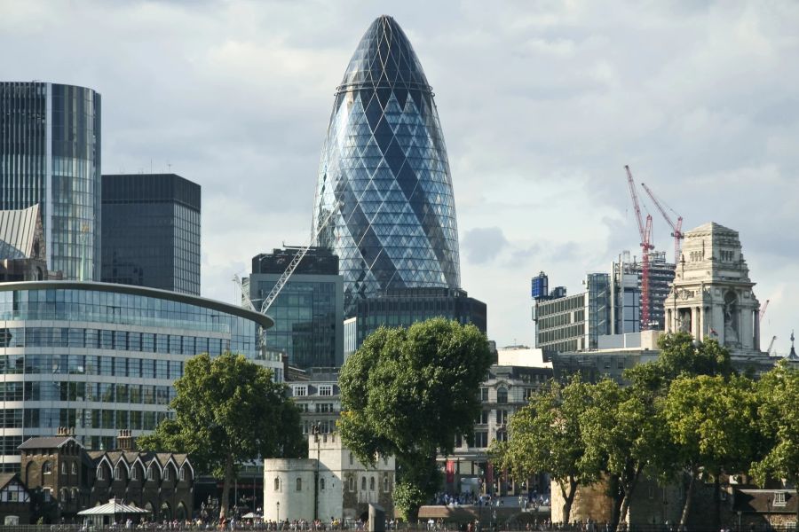 the gherkin