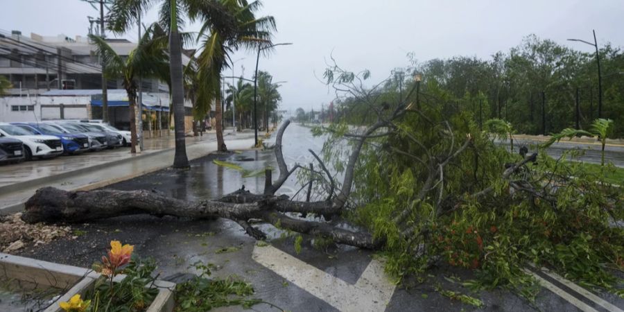 Hurrikan Beryl Mexico USA