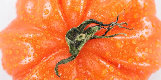 Panoramische Aufnahme von ganzer roter reifer Tomate.