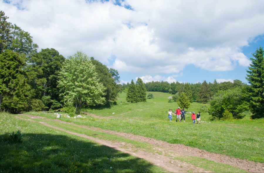 Jura Höhenweg Wanderung