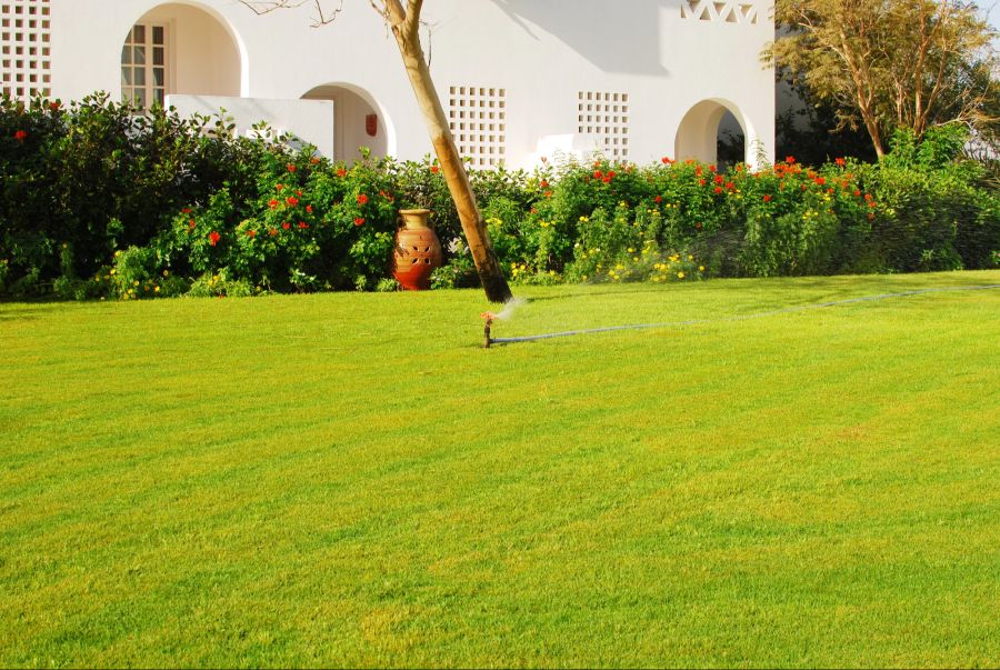 Natürlicher Rasen, Garten