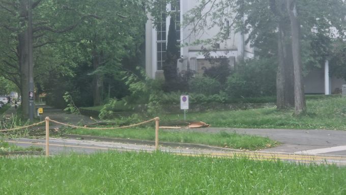 Im Berner Breitenrain-Quartier sind wegen des starken Windes Äste abgebrochen – und aufs Trottoir gefallen. Bern Wetter