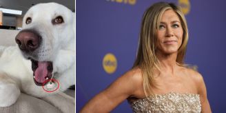 Auf Hundefoto - Jennifer Aniston leakt versehentlich ihre Handynummer Auf Hundefoto - Jennifer Aniston leakt versehentlich ihre Handynummer